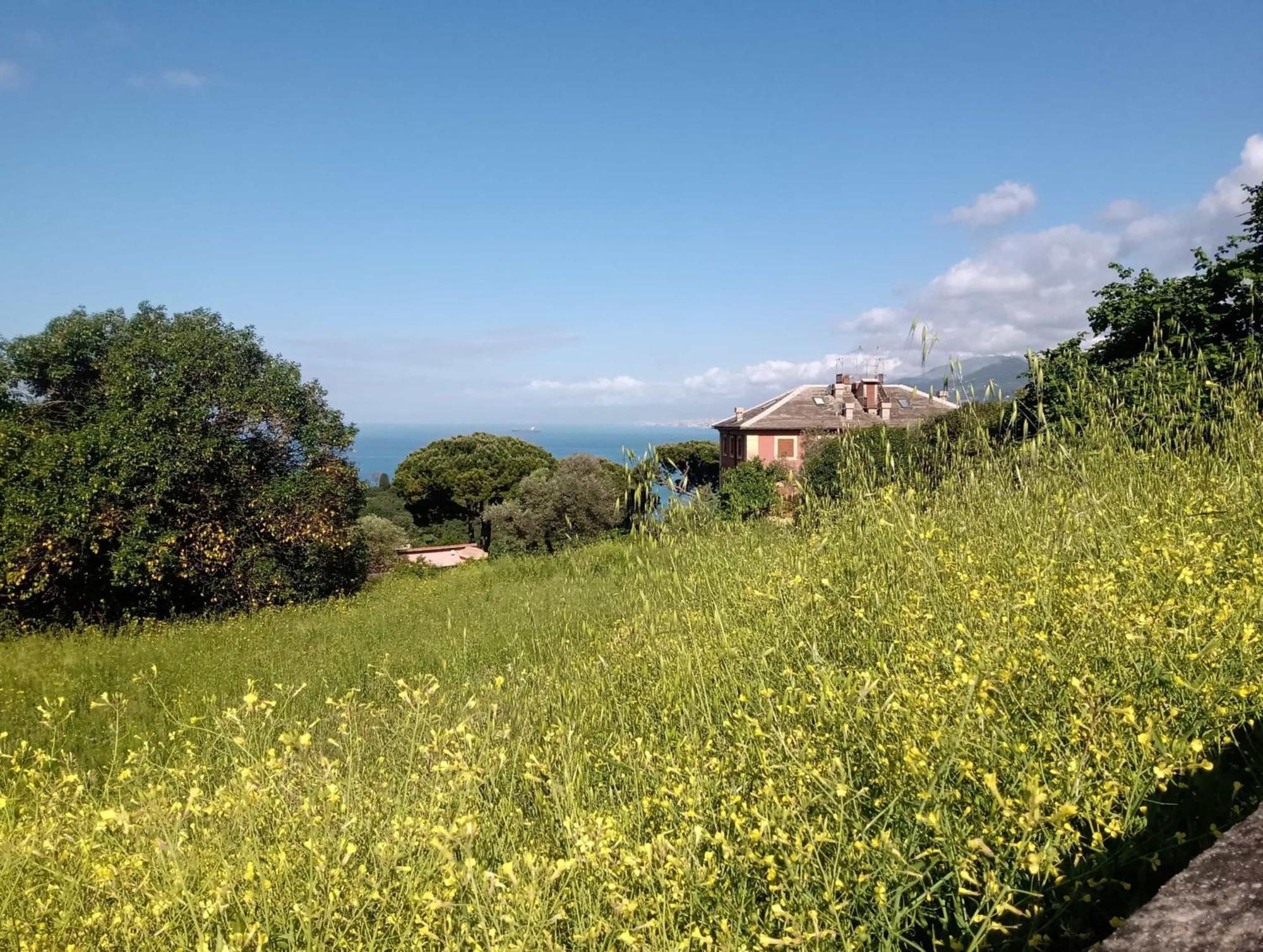 B&B Casa Ninni Camogli Εξωτερικό φωτογραφία